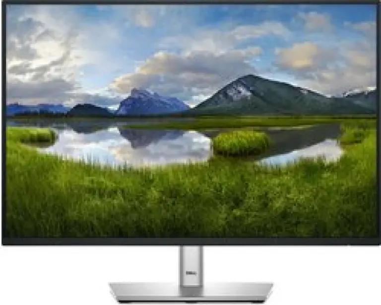 Dell P2425 - Monitor - 24,1 inch - WUXGA - 100 Hz